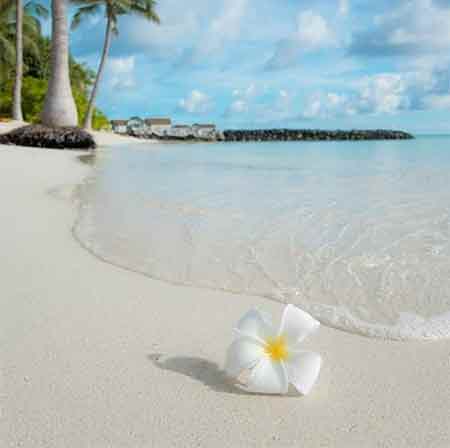 دانلود آهنگ کاروان علی سلامی